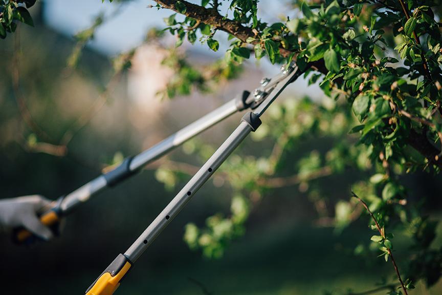 Landscape Maintenance