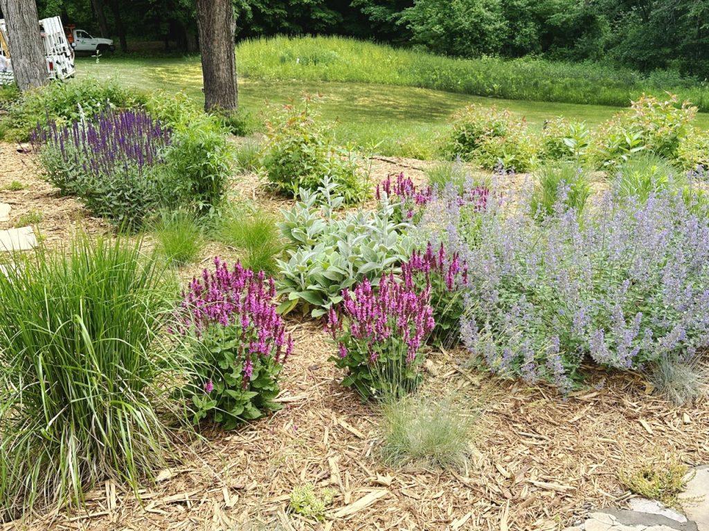 Hillside Planting EM (1)