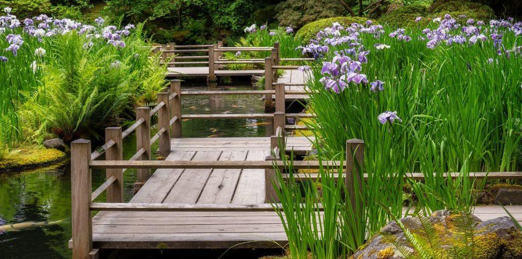 Mastering Simplicity: Minimalist Japanese Garden Design Ideas for Tranquil Living