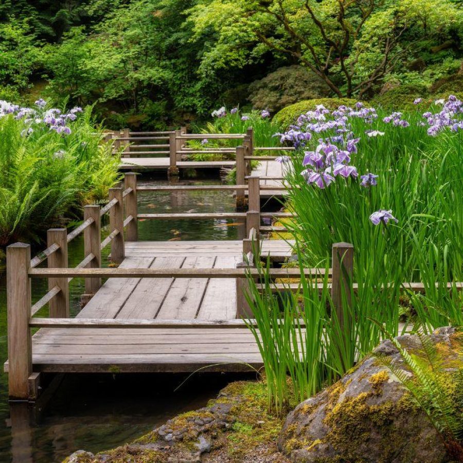 Japanese Garden Design Ideas