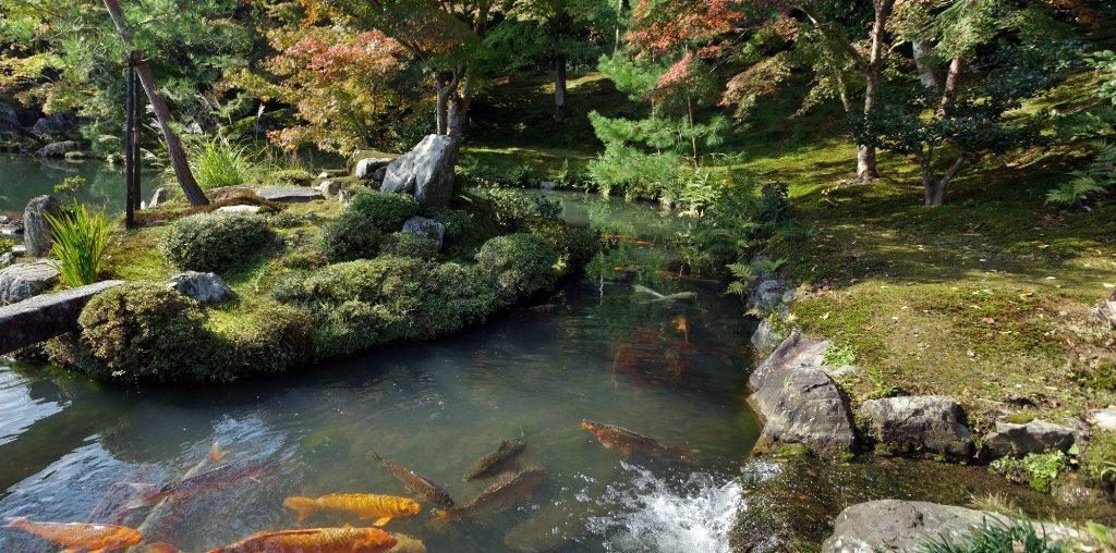 The Art of Korean Gardens: Creating a Sanctuary in Modern Homes